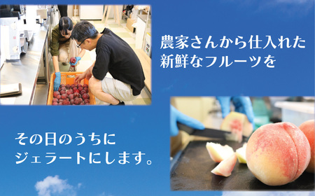 ジェラート おまかせ 季節 手作り 【ジェラート】