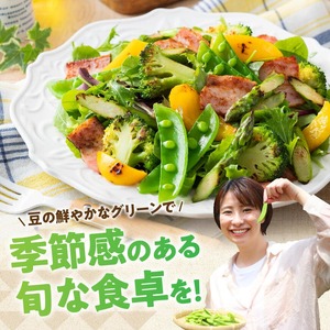 宮崎県産　スナップエンドウ1kg 【 宮崎県産 川南町産 スナップエンドウ 】