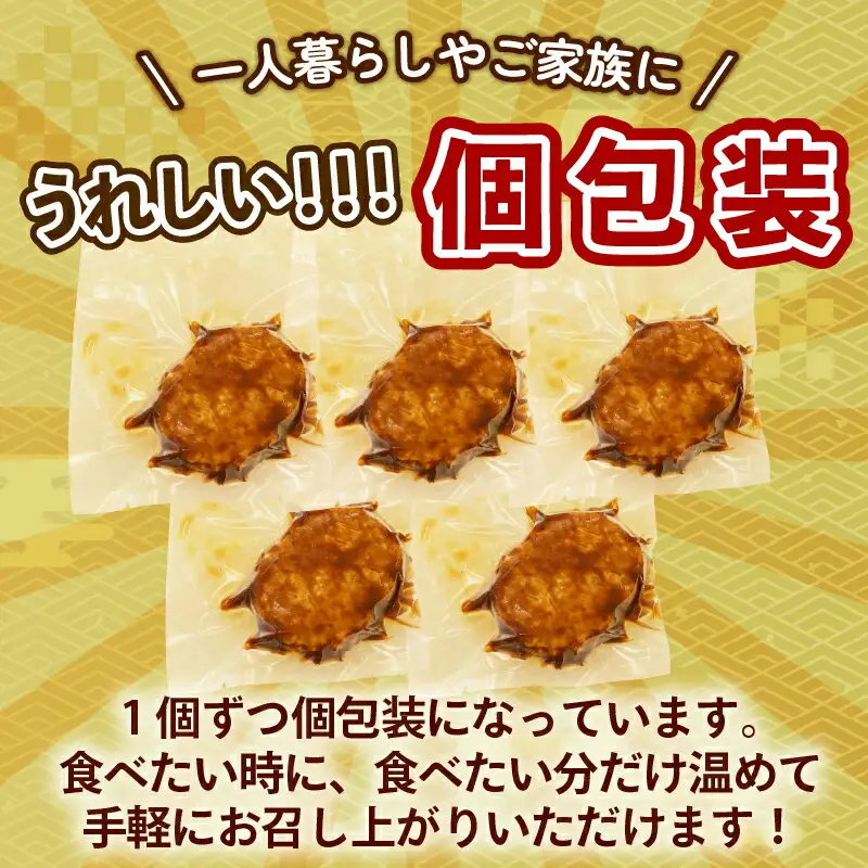 【ハンバーグ】 デミグラスソースハンバーグ 15個 15-081