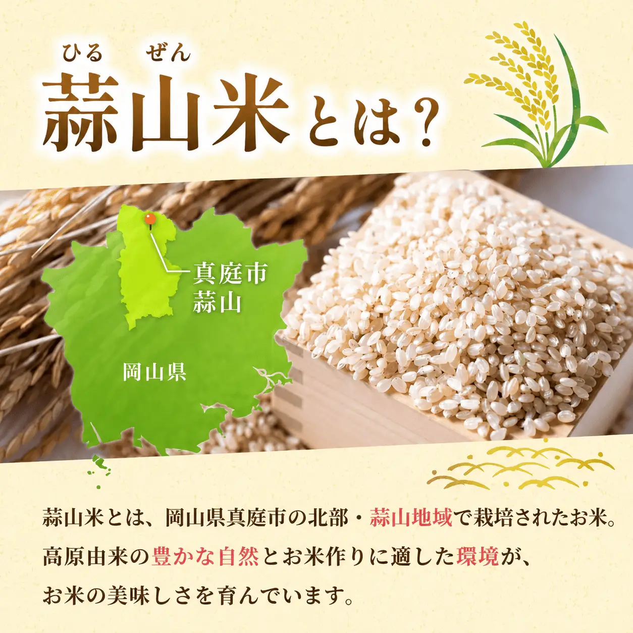 【令和7年産】 蒜山米（ひるぜんまい） 玄米 30kg あきたこまり 【agurih003-03】
