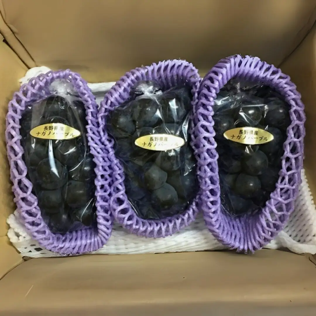 ナガノパープル 約700g(1房)｜ナガノパープル