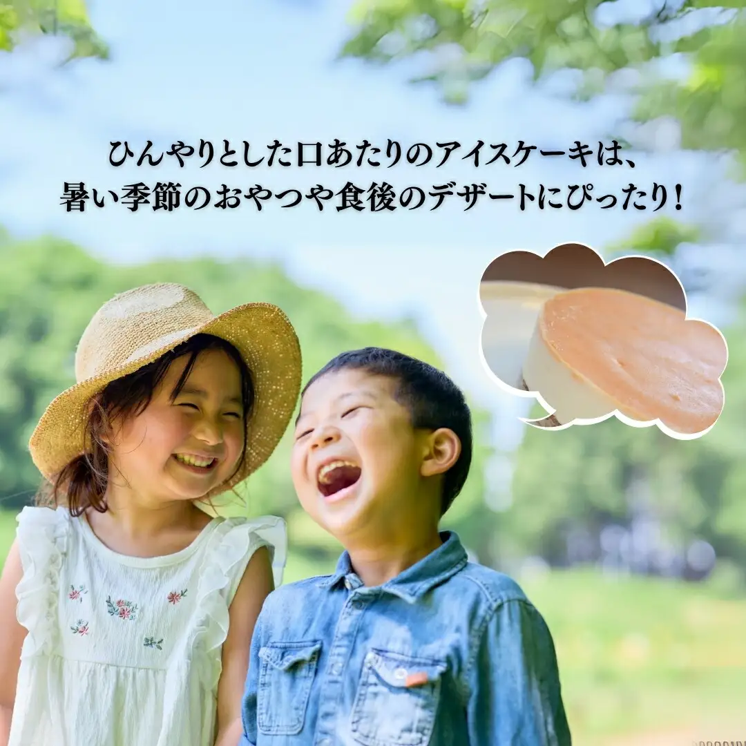 あんずアイスケーキ 5号(15cm)｜ アイスケーキ