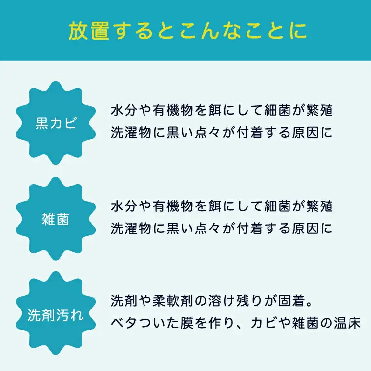洗濯機クリーニング 縦型分解 日立ビートウォッシュ 洗濯機クリーニング【柏市限定】
