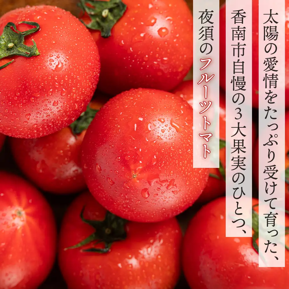 2027年1月下旬発送開始 フルーツトマト 2kg 定期便 3回 トマト Wyu-0078