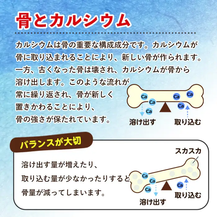 No.1289-B ＜定期便・全6回(隔月)＞カルシウム(1袋186粒入・2袋×6回 計12袋) 鹿児島 日置市 健康食品 サプリ 栄養バランス 食生活 安心安全 カルシウム 乳製品 歯 骨 にぼし 煮干し ビタミンD 定期便 頒布会【てまひま堂】