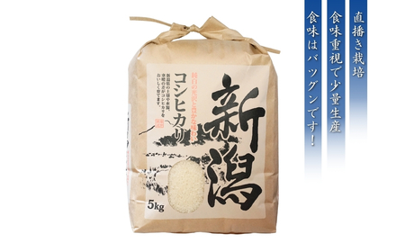【先行予約・令和8年10月以降発送予定】新米 新潟産コシヒカリ 5kg 令和8年産 こしひかり 直播栽培 | 農家直送 新潟県 出雲崎町