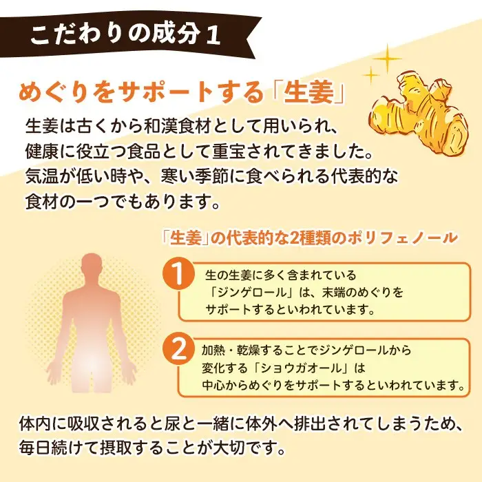 No.1285-B てまひま にんにく卵黄生姜(1袋 62粒入り・2袋×6回)  鹿児島 日置市 ニンニク 健康食品 栄養 元気 カプセル 安全安心 生姜 サプリ サプリメント 定期便 頒布会 【てまひま堂】