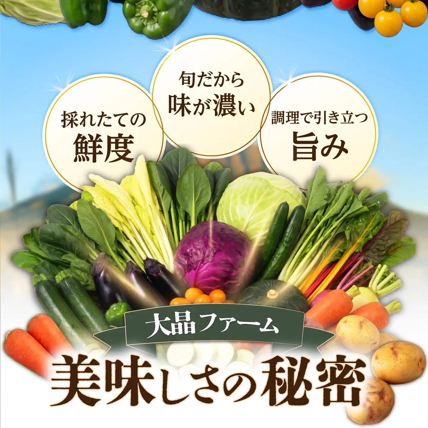 有機野菜セット[BNAP002]