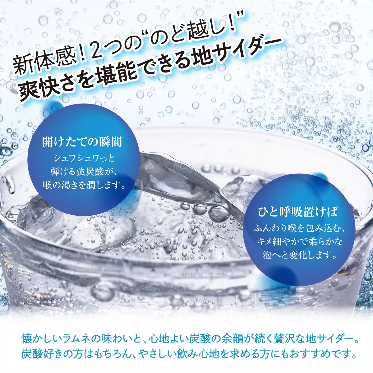 《どこか懐かしく涼やかな》 桜川サイダー 330ml × 24本 | 能勢酒造 | 国産 天然水 名水 炭酸飲料 すっきり ファミリー 子供 お取り寄せ 割り材 カクテル 老舗 | 大阪府 能勢町 送料無料