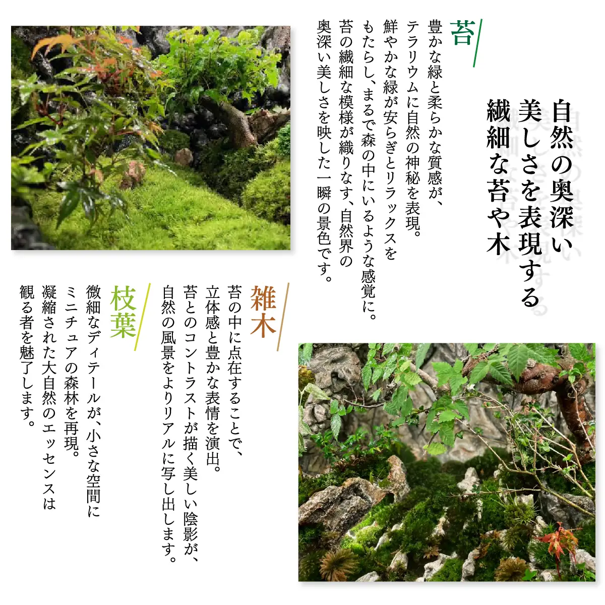 苔テラリウム | ホンダテラリウム工房 | 62面体 インテリア 和モダン 観葉植物 盆 一点もの アート作品 ハンドメイド 手作り LEDライト付き ガラス容器 癒し リラクゼーション ミニチュア ジオラマ おしゃれ ギフト | 大阪府 能勢町 送料無料