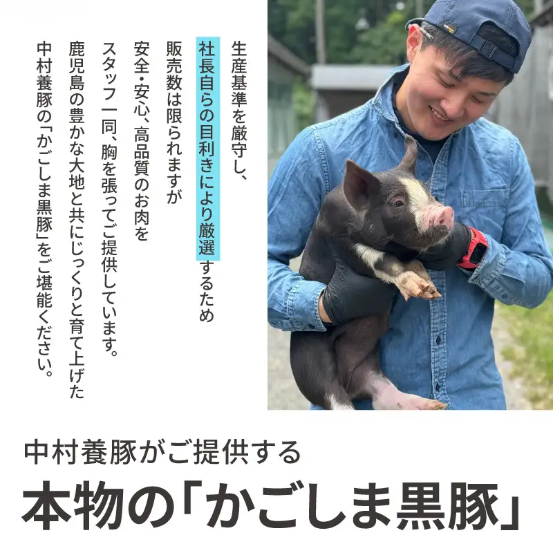 かごしま 黒豚 しゃぶしゃぶ 800g / 贈答用 箱入り KN167-001 肉 豚肉 鍋
