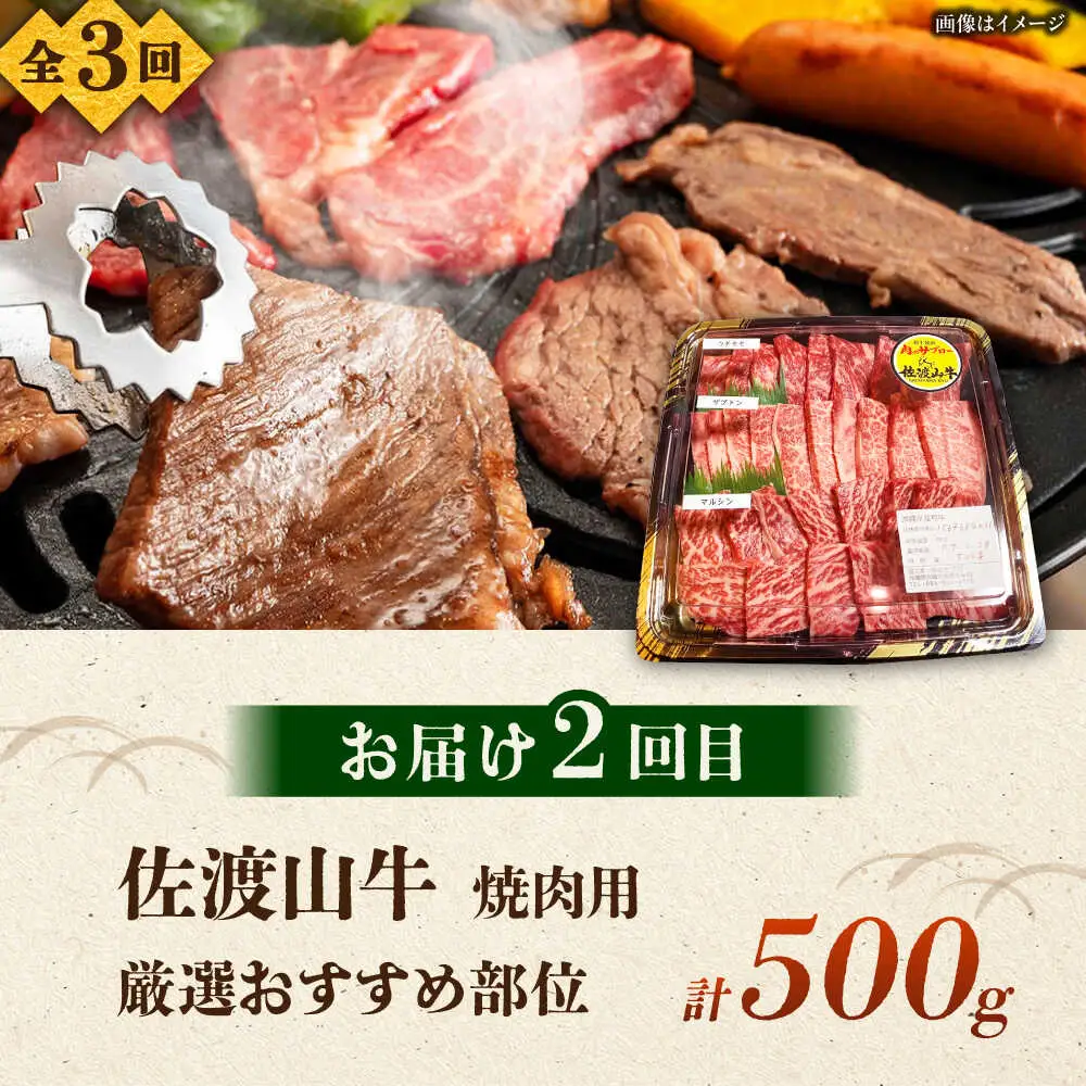 【全3回定期便】沖縄ブランド牛を堪能！贅沢お肉定期便【沖縄市】牛肉 和牛 サーロインステーキ 焼肉 赤身 沖縄市 / 肉のサブロー / お肉屋本店[BCZZ027]