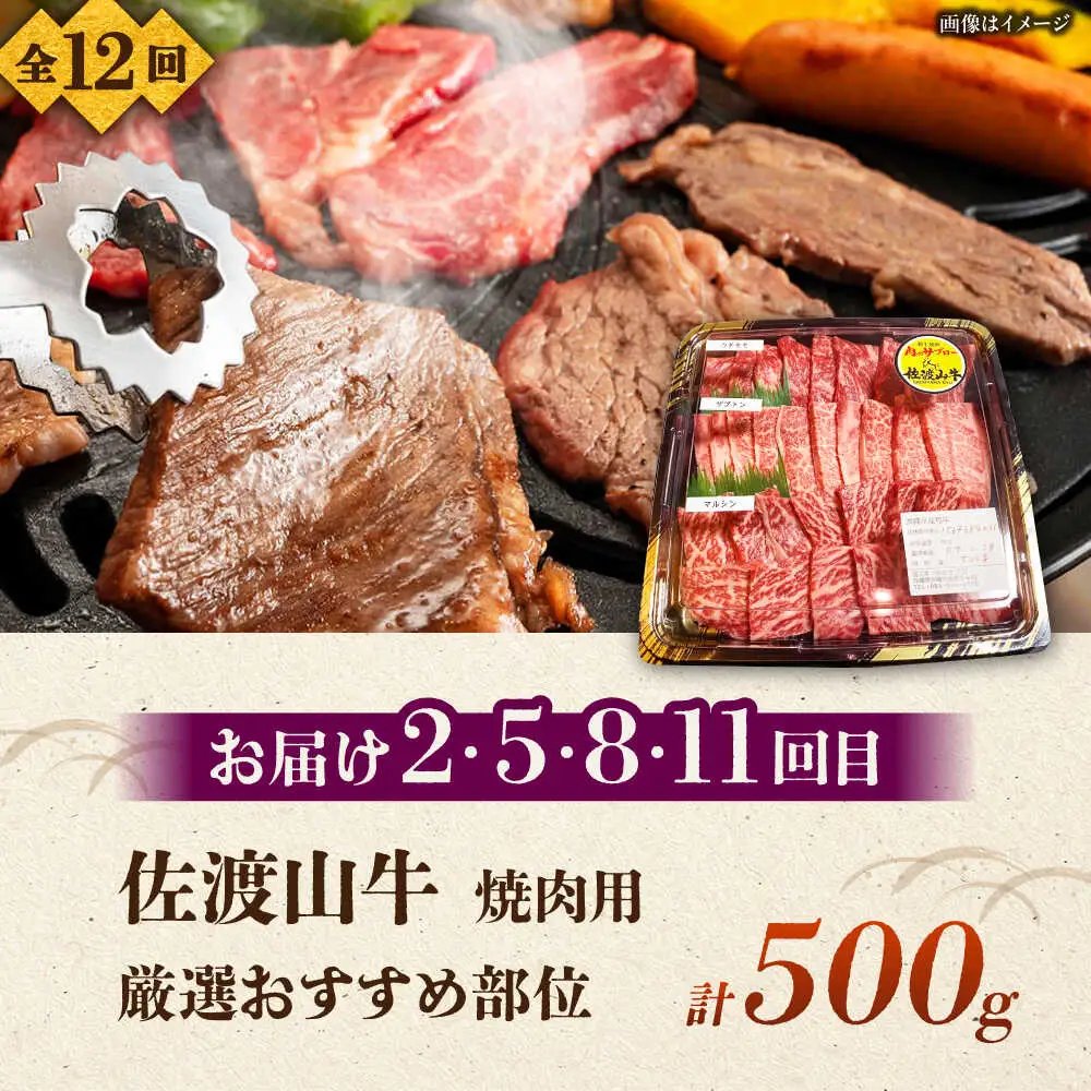 【全12回定期便】沖縄ブランド牛を堪能！贅沢お肉定期便【沖縄市】牛肉 和牛 サーロインステーキ 焼肉 赤身 沖縄市 / 肉のサブロー / お肉屋本店[BCZZ029]