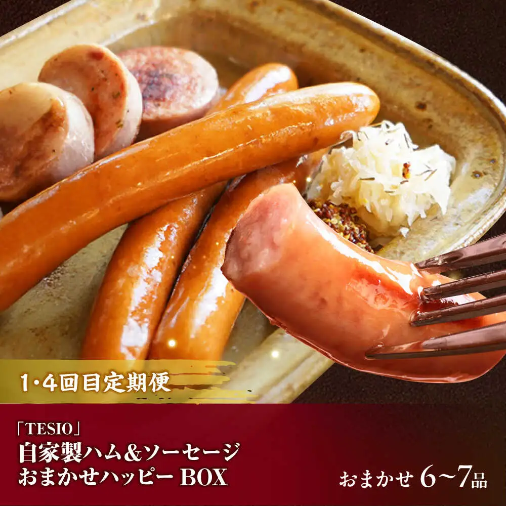 【全6回定期便】沖縄の絶品肉加工品セット【沖縄市】豚肉 ハム ソーセージ 豚まん ぶたまん ちまき 焼売 シュウマイ ハンバーグ 沖縄市 / TESIO / 豚々茶舗 / お肉屋本店[BCZZ031]