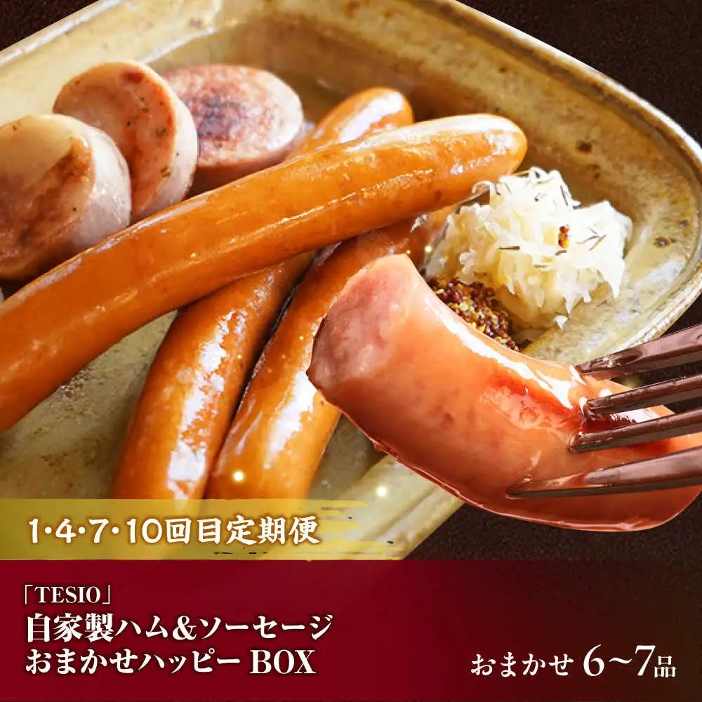 【全12回定期便】沖縄の絶品肉加工品セット【沖縄市】豚肉 ハム ソーセージ 豚まん ぶたまん ちまき 焼売 シュウマイ ハンバーグ 沖縄市 / TESIO / 豚々茶舗 / お肉屋本店[BCZZ032]