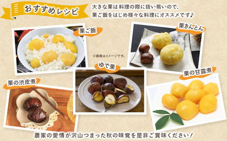 ＜生栗 2Lサイズ（約1kg）＞甘い 栗 マロン くり 和栗 栗ごはん モンブラン 栗きんとん 栗まんじゅう 甘露煮 スイーツ ケーキ 洋菓子 和菓子 お菓子 秋 味覚 産地直送 城川ファクトリー 愛媛県 西予市【冷蔵】『2026年9月中旬～10月上旬に順次発送予定』SSF0034