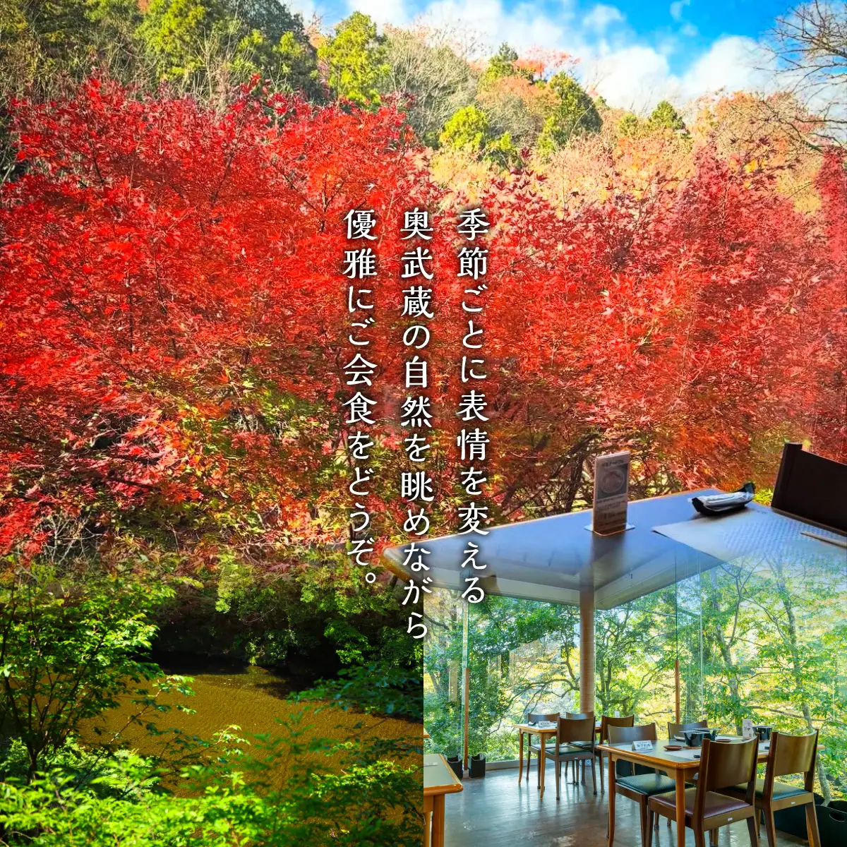 【会席料理・清河園】季節の特別会席お食事券(1人分) チケット HNNAX001
