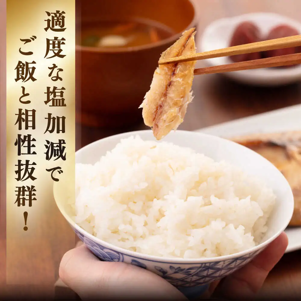 旬の魚 干物 6種 セット [JAQ028]