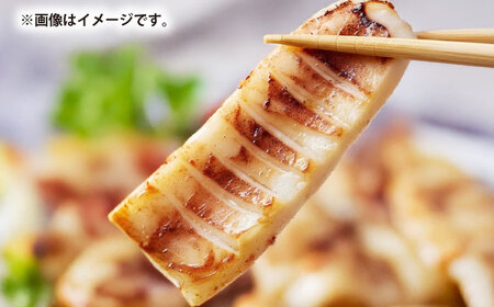 スルメイカ　半日干し 1kg以上 5〜7枚《壱岐市》【馬渡水産】[JAQ029]