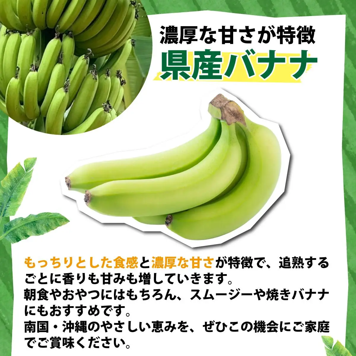 ＜わんのバナナ＞石垣島産バナナ【沖縄県産バナナ】約3kg NA-06