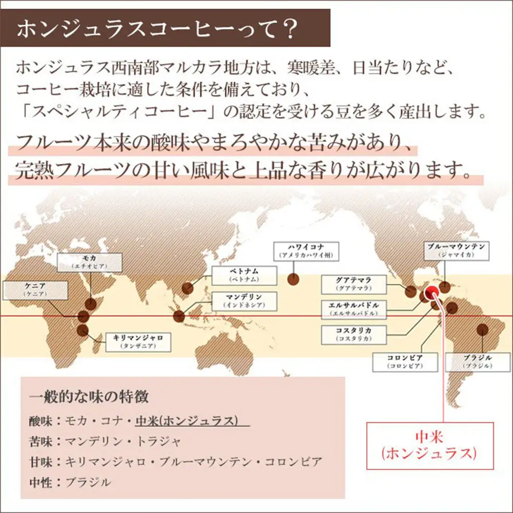 コーヒー豆 自家焙煎 ホンジュラス スペシャルティコーヒー【初回限定お試しセット】焙煎豆100g×3パック 中挽き【豆：お任せ3種類】