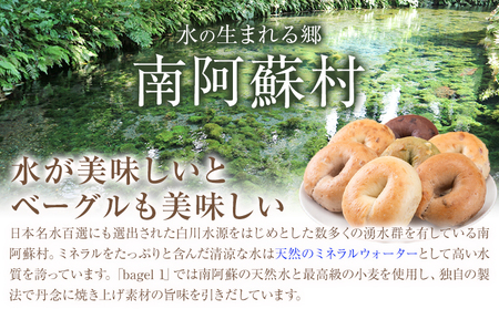 【6ヶ月定期便】阿蘇の天然水使用 ベーグルセット 30個入 ベーグル・ワン《お申込み月の翌月から出荷開始》熊本県 南阿蘇村 ベーグル パン おやつ 送料無料