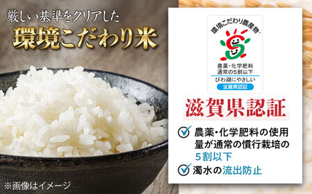 【令和8年産 新米】環境こだわり米 ミルキークイーン 5kg [AQCQ015]