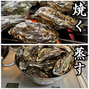 【発送時期が選べる】盛ちゃん（湯田水産） 能登牡蠣 殻付き 一斗缶（70個前後） 約11kg 加熱用 | 牡蠣 ※2027年2月～発送