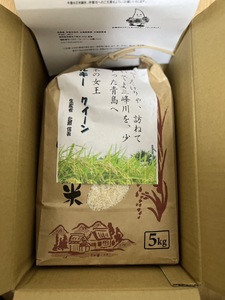 米 5kg ミルキークイーン 令和7年産 市場の目利きが選ぶお米 5kg ミルキークイーン | 米 お米 主食 精米 白米 ミルキークイーン 長野県 伊那市 信州産 2025年10月上旬から発送 【014-37】