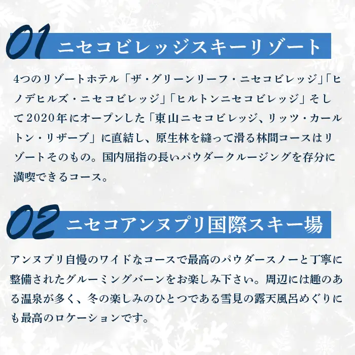 ニセコ全山共通リフト券（All Mt.Pass）1日券（2枚）ニセコアンヌプリ・ニセコビレッジ引換専用【3500202】