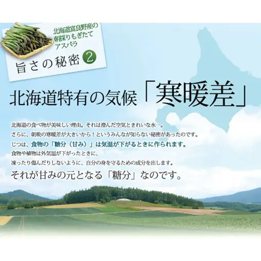 【2027年春発送】富良野産 訳あり グリーンアスパラ【1kg】65本前後 サイズ混合 野菜 アスパラガス 大容量