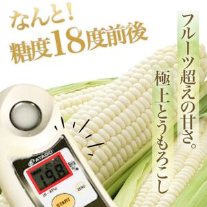 【2026年夏発送】訳あり とうもろこし ピュアホワイト 20本 富良野産 生で食べられる コーン