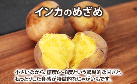 じゃがいも インカの目覚め 富良野産 じゃがいも【約3kg】