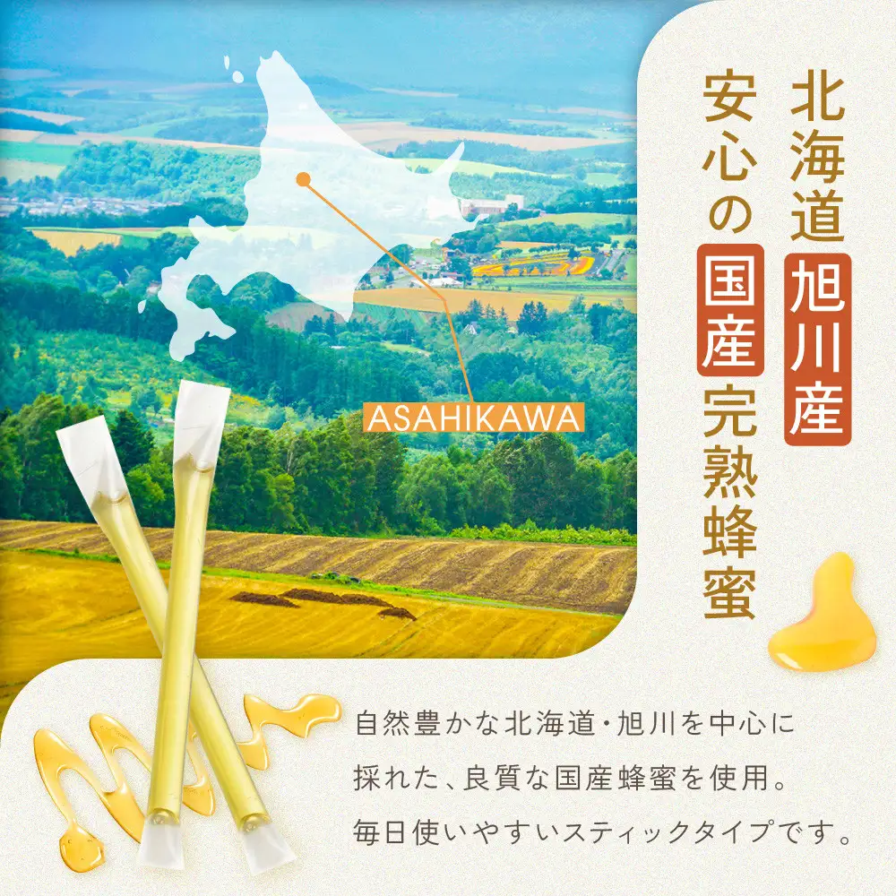 【スティック蜂蜜】アカシア 2.5g×50本入 | はちみつ_05350