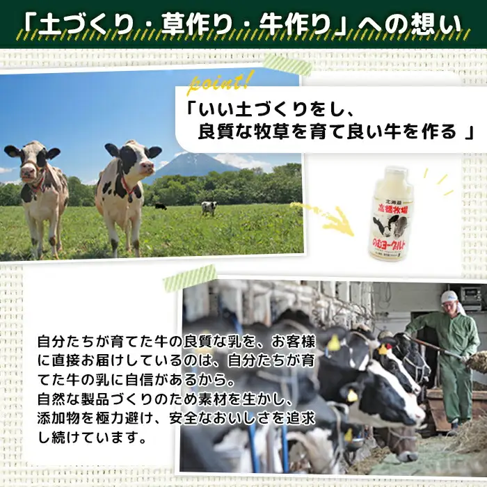【定期便：全２回】ニセコ高橋牧場ミルク工房 のむヨーグルト（大）６本Dセット【03116】