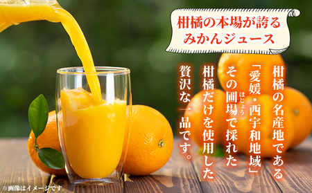 ＜媛一つぶ入りジュース みかん 500ml×6本＞ 国産 つぶ入り オレンジジュース みかんジュース 果汁 粒入り ストレートジュース 愛媛県産 西宇和 果汁 ジュース みかん オレンジ 飲料 セット 小林果園 愛媛県 西予市 【常温】『最短10営業日以内に発送予定』OKE0006