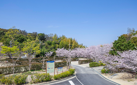 ウェルネスパーク五色 オートキャンプ場 宿泊券 キャンプ キャンプ場 ファミリー チケット 温浴施設 旅行 宿泊 淡路島 洲本市