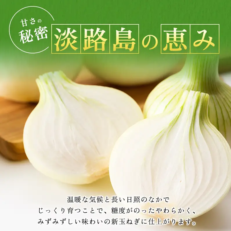 新玉ねぎ 淡路島産 5kg 山木さんち 甘い 新玉ねぎ