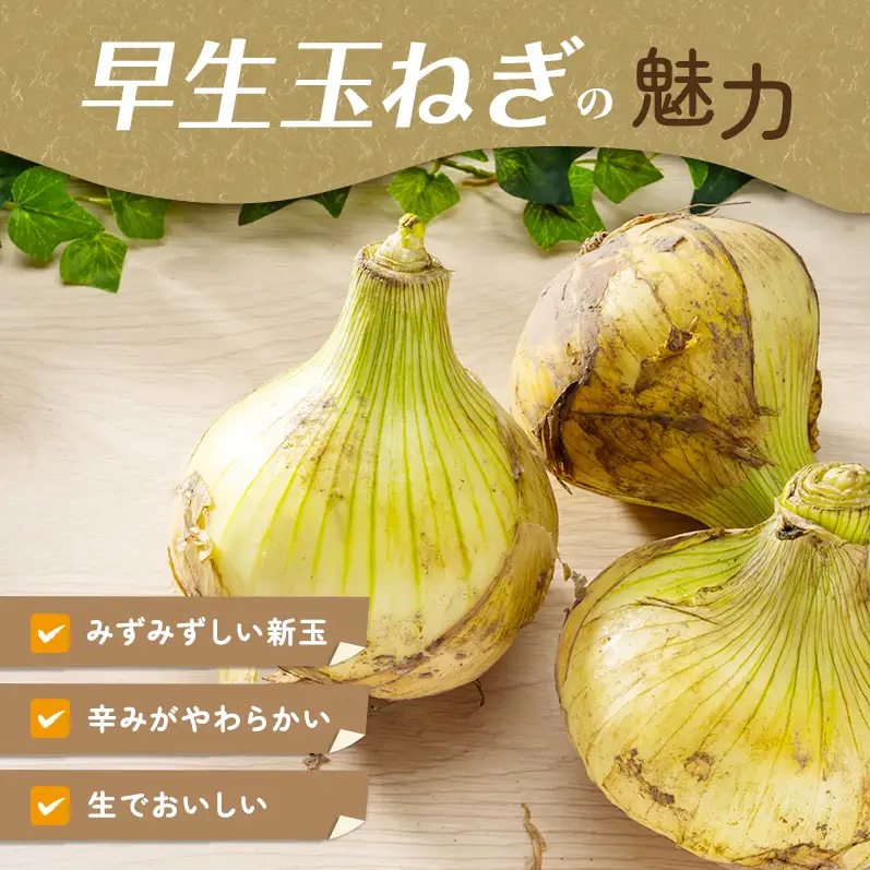 ふれあい市の会 早生 玉ねぎ 5kg タマネギ オニオン 野菜 旬 甘い 淡路島 洲本市