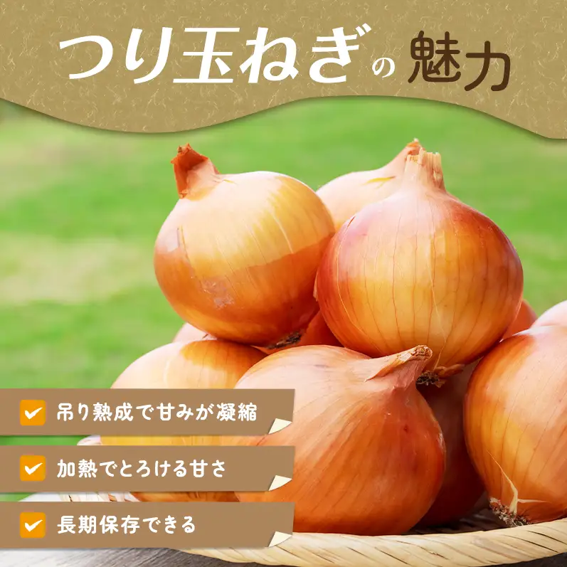 ふれあい市の会 つり玉ねぎ 5kg 玉ねぎ 野菜 旬の野菜 旬 甘い 淡路島 洲本市