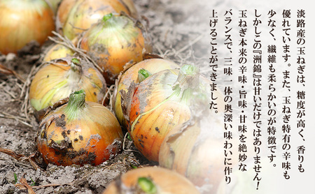 新玉ねぎ 淡路島産 洲錦 5kg 洲本農園 新玉ねぎ