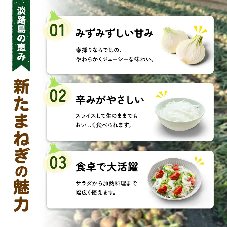 新玉ねぎ 淡路島産 8kg 島の里 甘い 新玉ねぎ