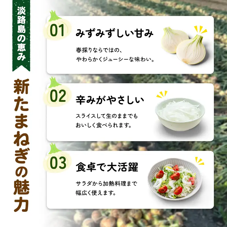 新玉ねぎ 淡路島産 4kg 島の里 甘い 新玉ねぎ
