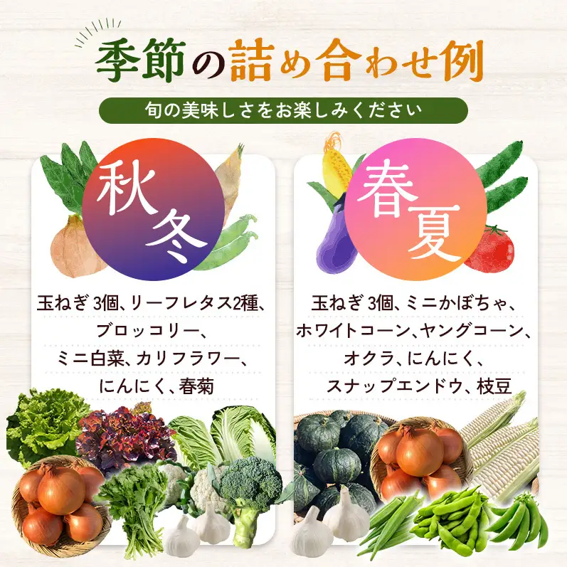 野菜セット 淡路島 7種類 みやざき農園 野菜セット