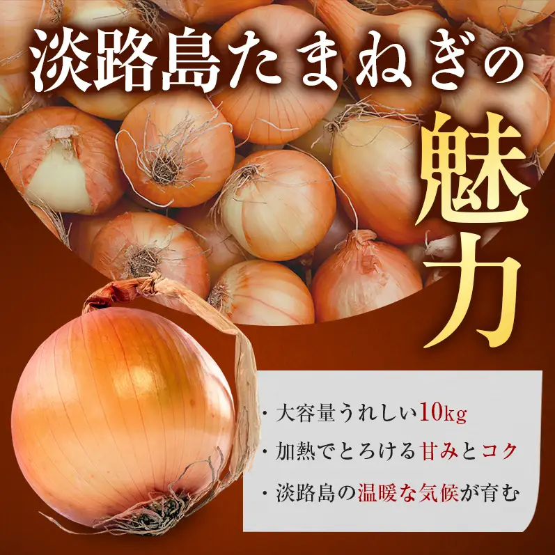 玉ねぎ 淡路島産 10kg スープ 肉じゃが 玉ねぎ