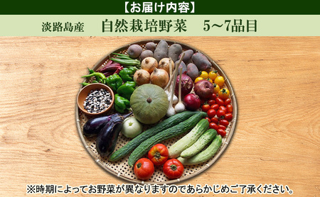 野菜 自然栽培 風土ベジ 5～7品 セット 淡路島産 野菜 淡路島 洲本市