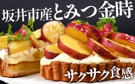 先行予約 さつまいも（とみつ金時） のタルトケーキ（5号） 2026年11月発送 スイーツ ケーキ [A-5222_11]