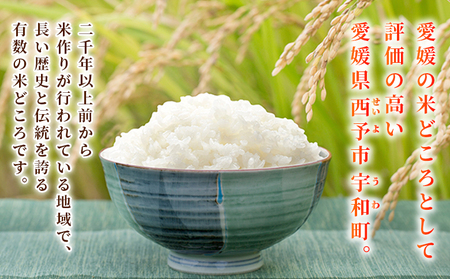 ＜令和7年産 コシヒカリ 約5kg 西予市宇和町産＞ 5キロ 白米 精米 こしひかり 米 お米 コメ こめ 宇和米 うわまい ご飯 ごはん ライス 送料無料 産地直送 天川農園 愛媛県 西予市【常温】『2025年9月中旬～12月迄に順次発送』UAN0001