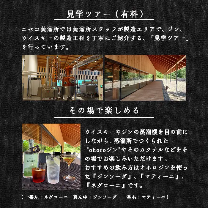 【数量限定先行受付！】北海道ニセコ町産　ohoro GIN Limited Edition ラベンダー 700ml【09149】