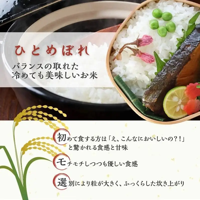 令和8年産 精米 ひとめぼれ 10kg